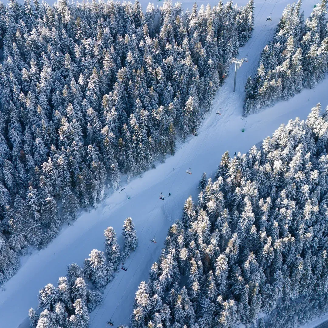 NEXTA: Corporativa - Aerial view of snowy ski slope and forests.
