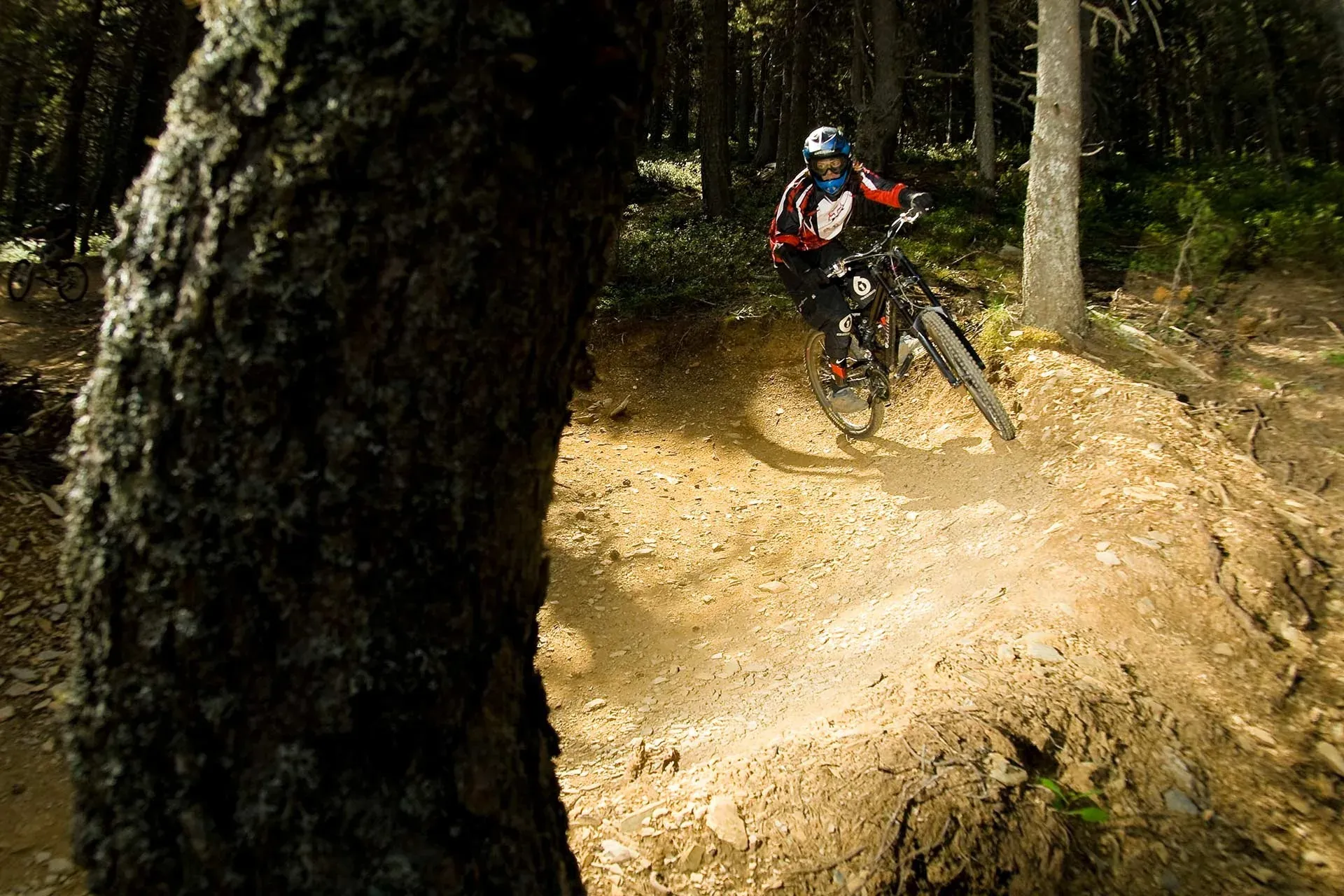 Ciclista en sender forestal, ideal per a NEXTA: Corporativa i esdeveniments.