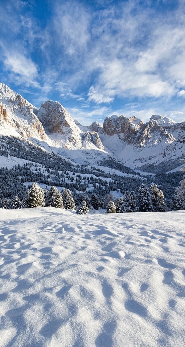 un champ couvert de neige avec des montagnes en arrière-plan