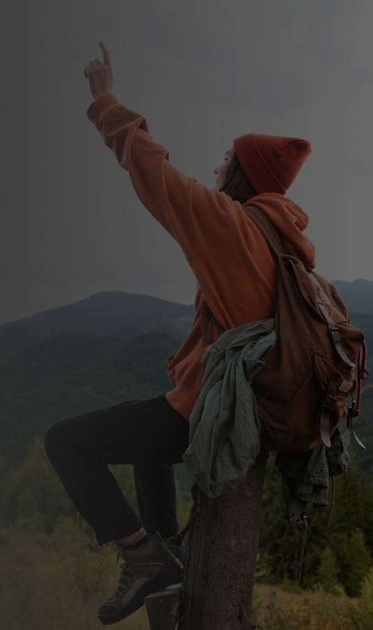 modify_section.pictures.0.altText