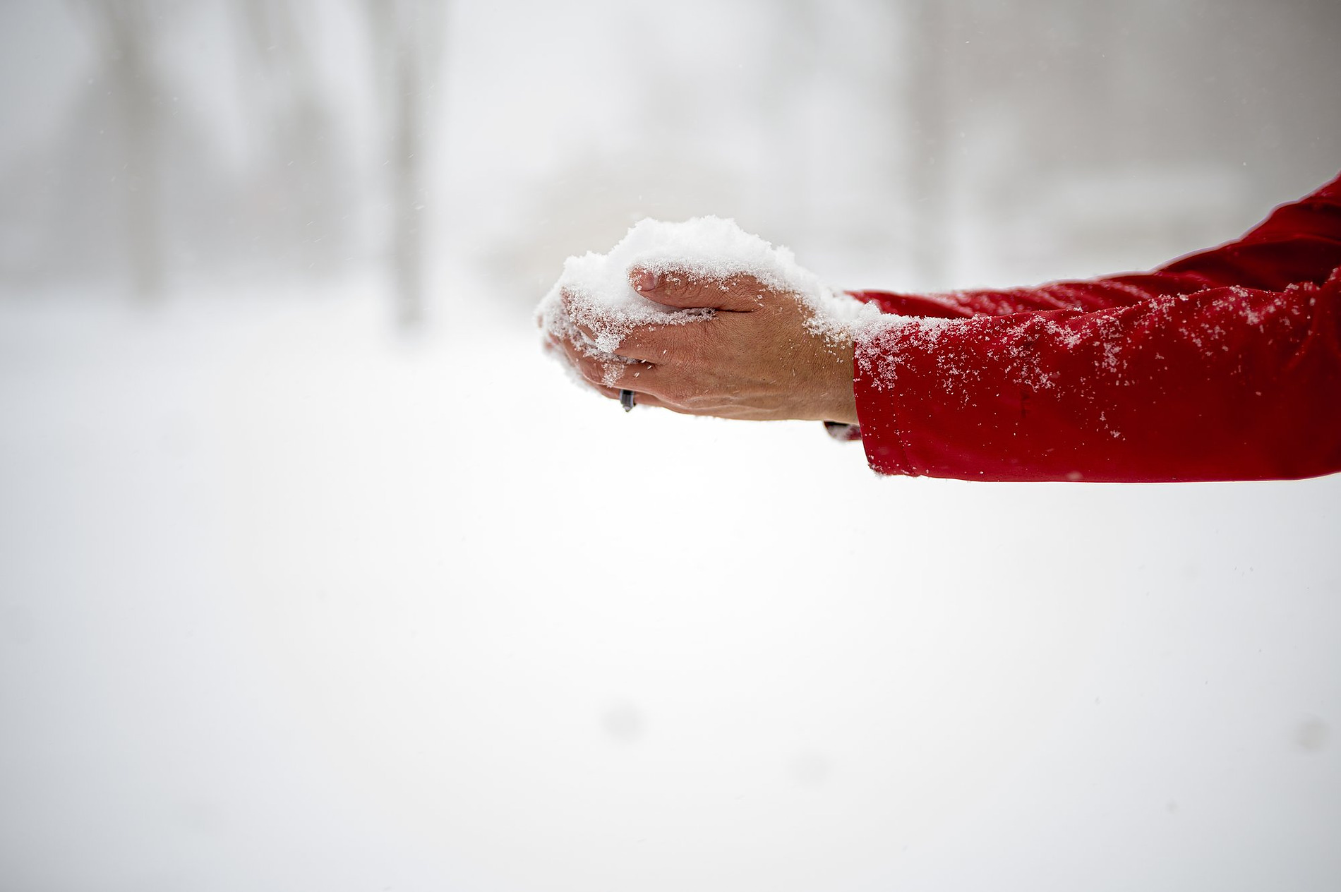 Manos sosteniendo nieve, Garantía de Nieve de Nexta Hotels en Andorra.