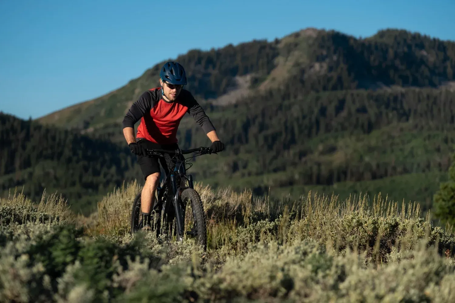 Mountain biker in blue helmet and red jersey for NEXTA: Corporate