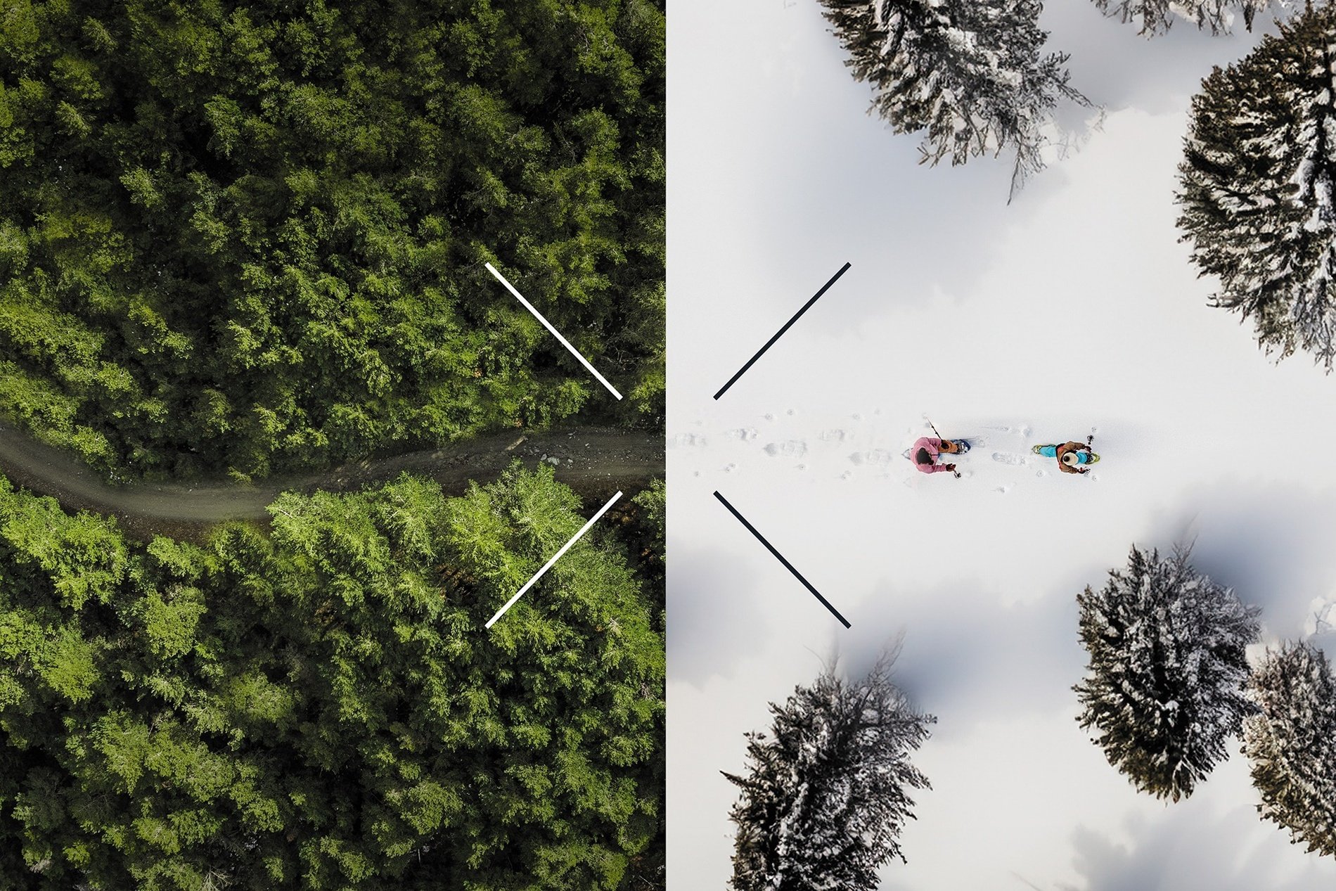 une photo aérienne d' une forêt verte et d' une forêt enneigée