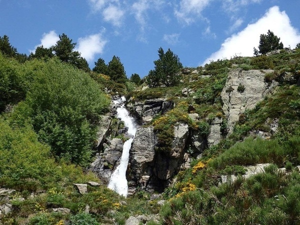 una cascada en una montaña rodeada de árboles y arbustos