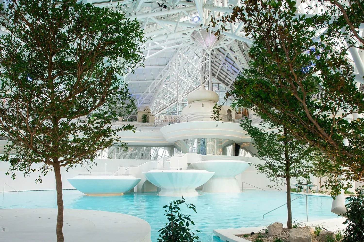 a swimming pool surrounded by trees in a building