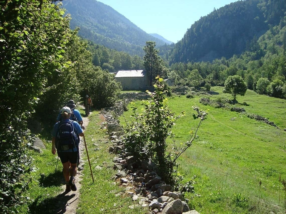 un grupo de excursionistas camina por un sendero de montaña