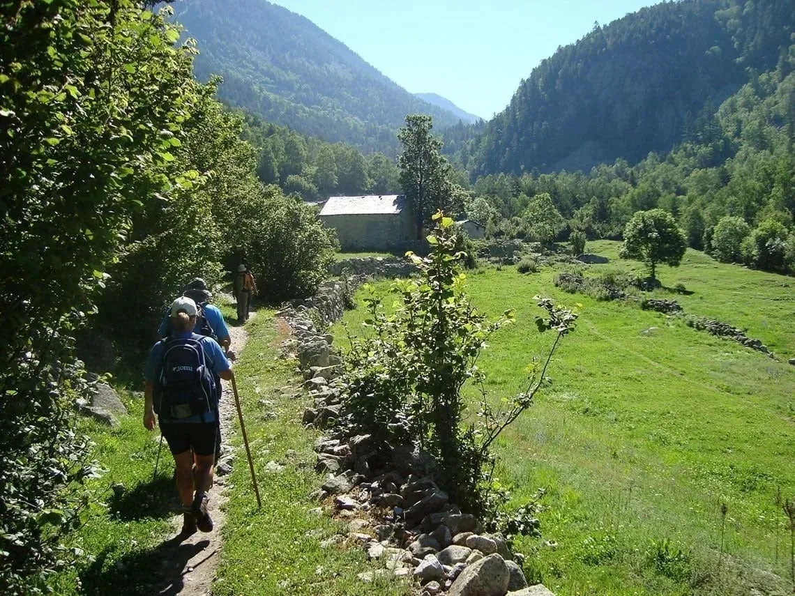 un grupo de excursionistas camina por un sendero de montaña