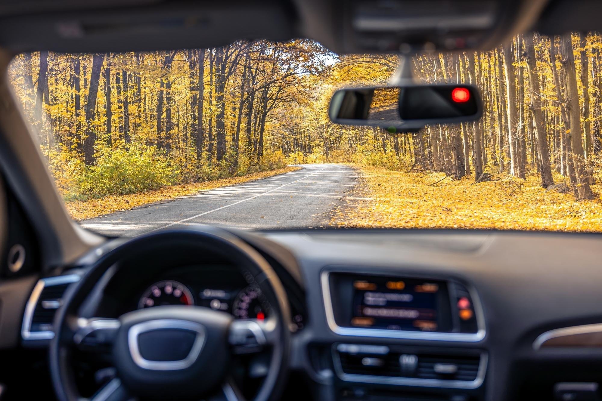 un automóvil conduce por una carretera a través de un bosque
