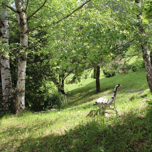 un banc de fusta blanca està a l' ombra d' un arbre