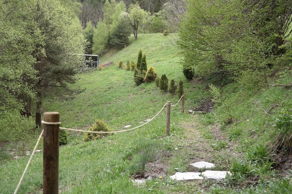 a rope fence surrounds a grassy hillside in the woods