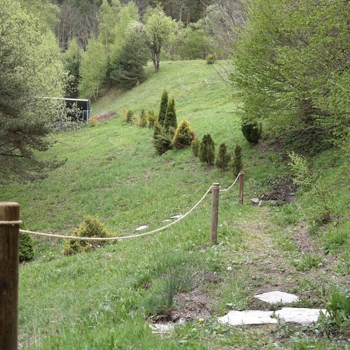 a rope fence surrounds a grassy hillside in the woods