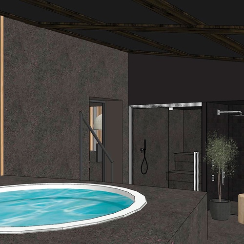 un dibuix d' un bany amb un jacuzzi i dutxa