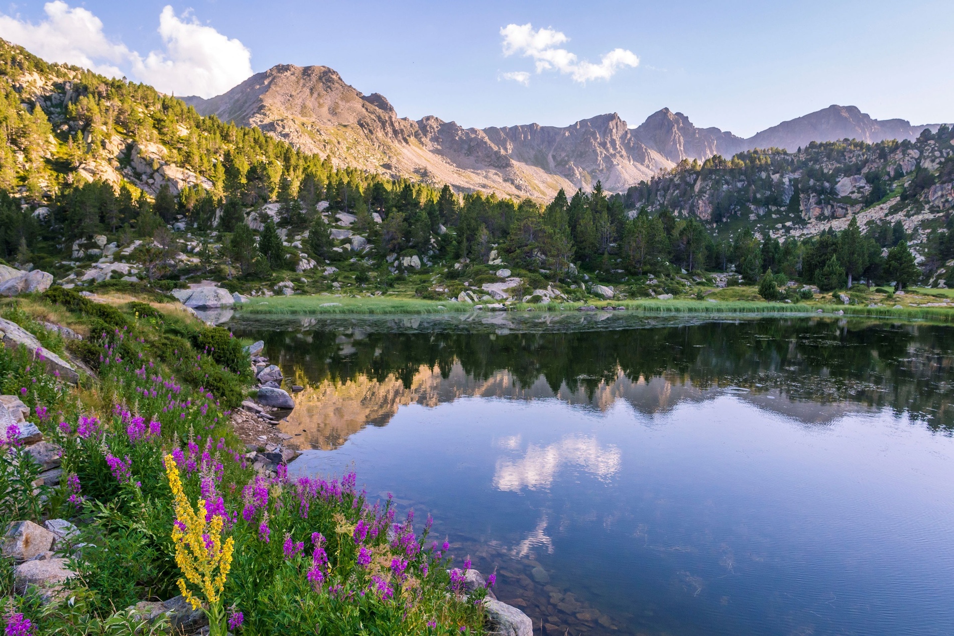 un lago rodeado de montañas y flores moradas