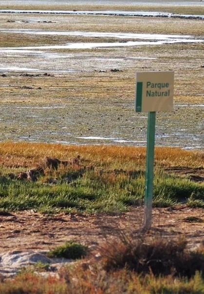 hay una señal en el medio de un campo que dice parque natural .
