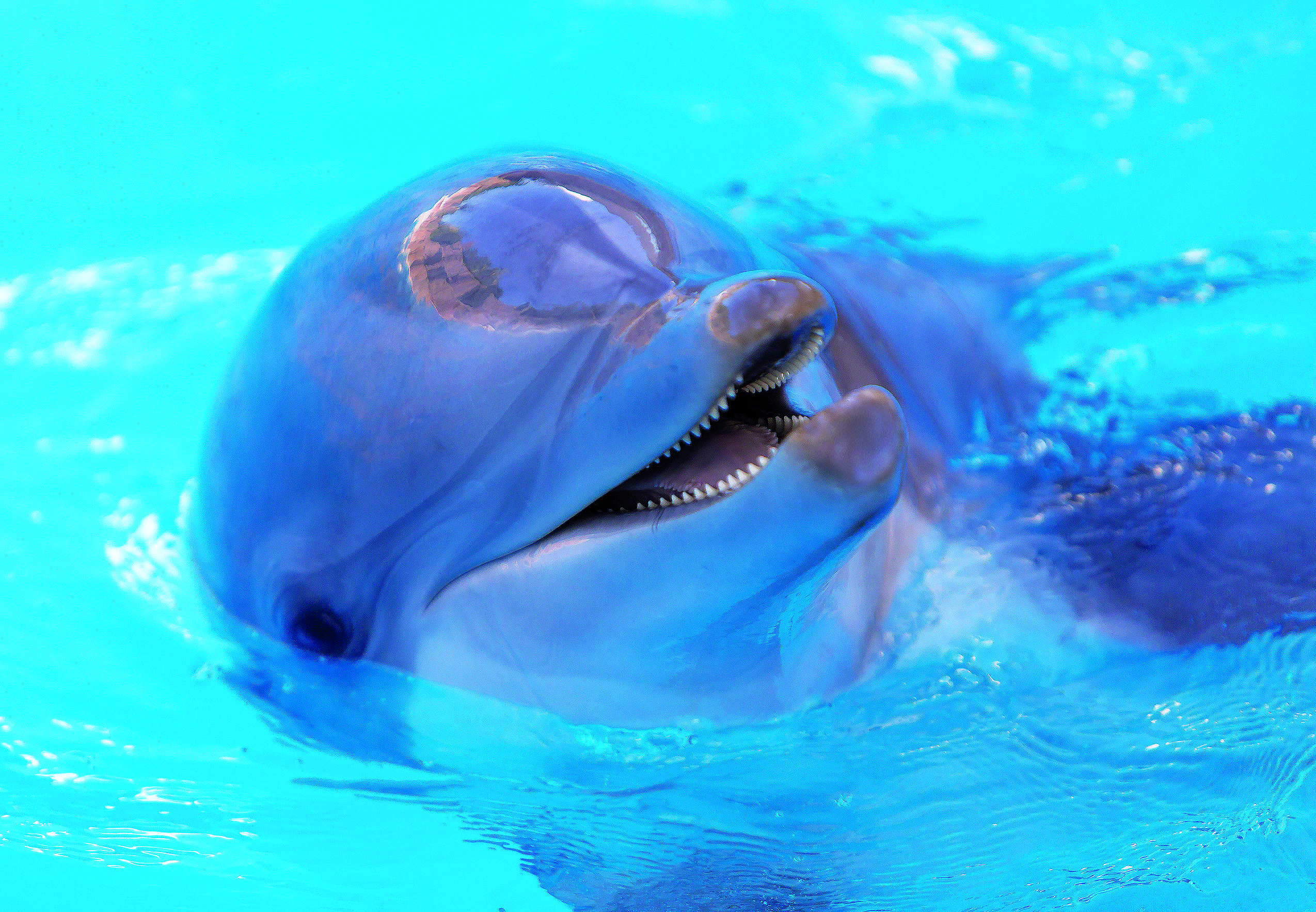 una mujer está sentada en una mesa comiendo pasta y bebiendo vino