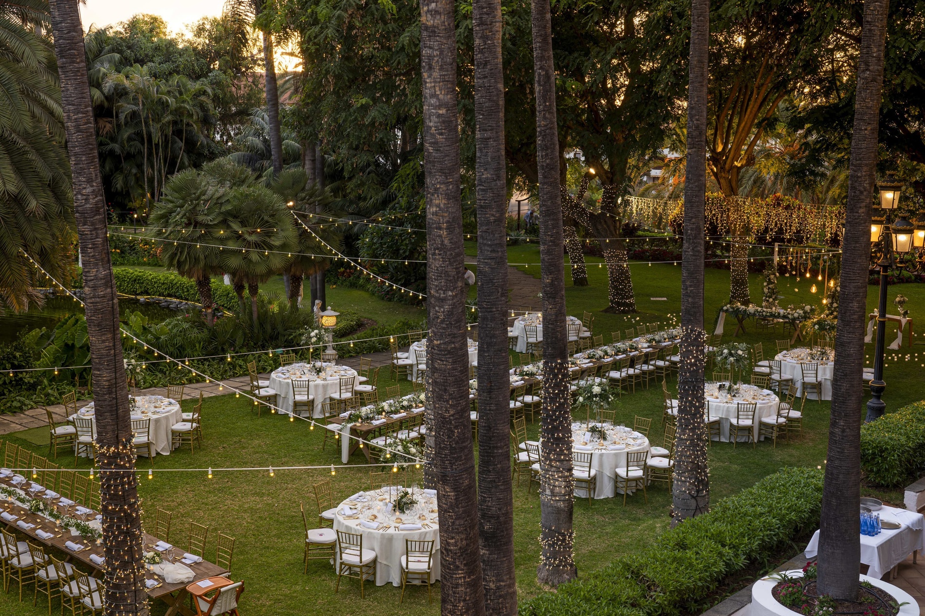 Un elegante evento al aire libre tiene lugar en un jardín tropical, con mesas dispuestas sobre el césped e iluminadas por numerosas guirnaldas de luces entre las palmeras y la exuberante vegetación.