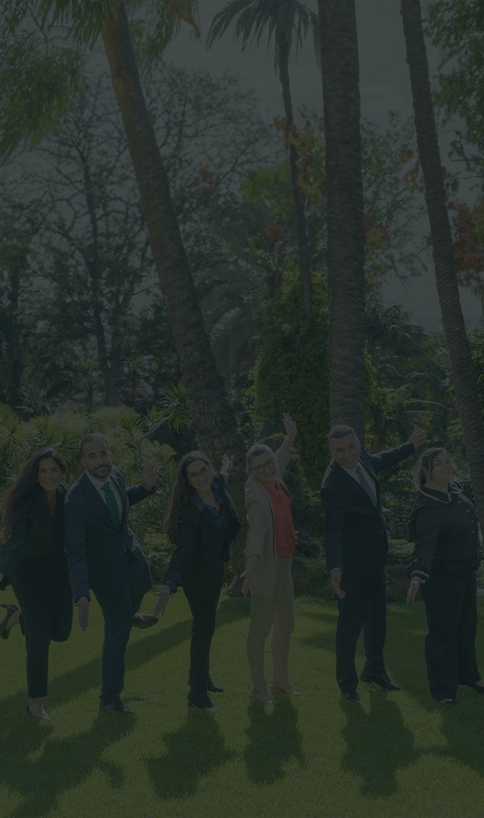 modify_section.pictures.0.altText