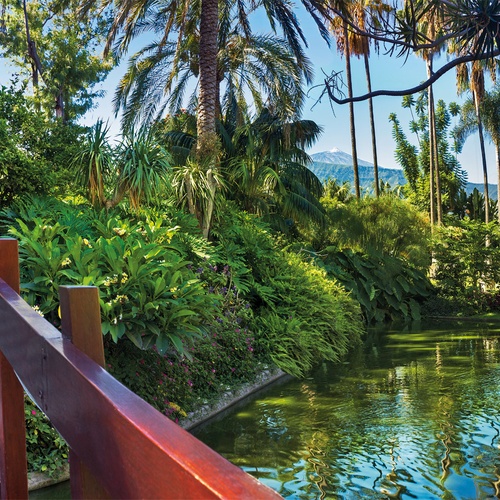 Two wooden bridges span a serene pond in a lush tropical garden filled with palm trees and vibrant foliage, with a snow-capped mountain visible in the distance.