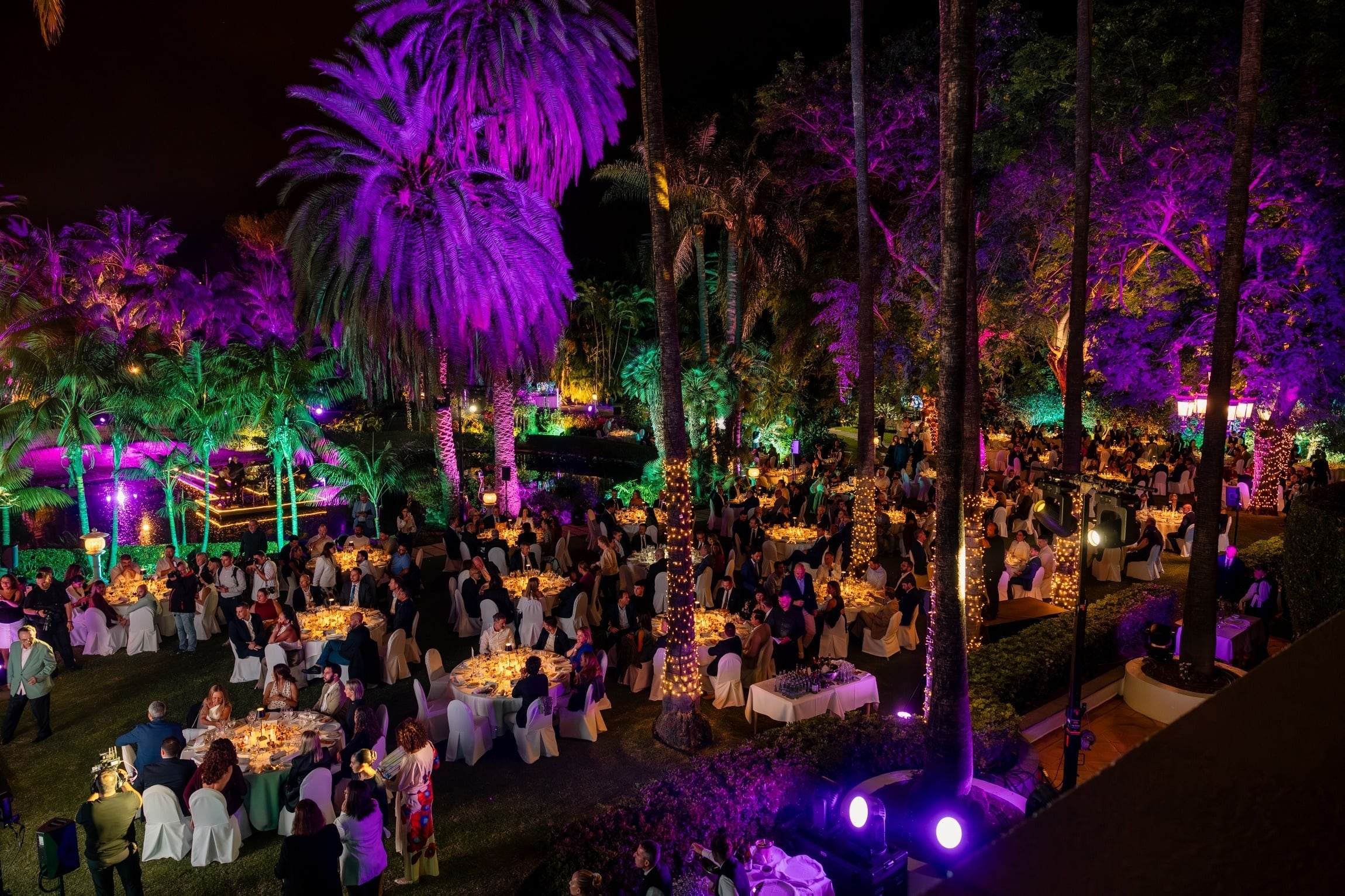 En nattlig utomhusfest med middagsgäster sitter bland palmträd och annan vegetation som är dramatiskt upplyst i lila och grönt.