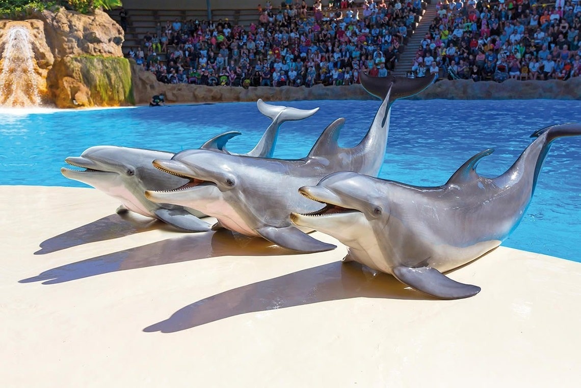 una donna è seduta a un tavolo mentre mangia pasta e beve vino