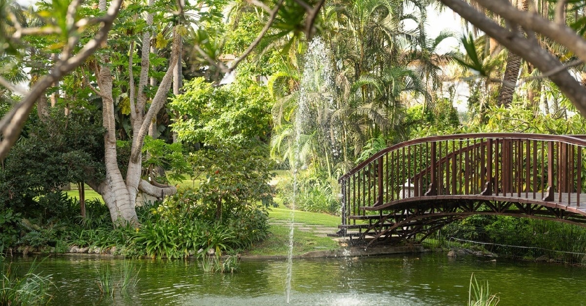 Ein üppiger grüner Garten mit einem Teich, einer eleganten braunen Brücke und einem springenden Wasserstrahl bildet eine idyllische Szene.