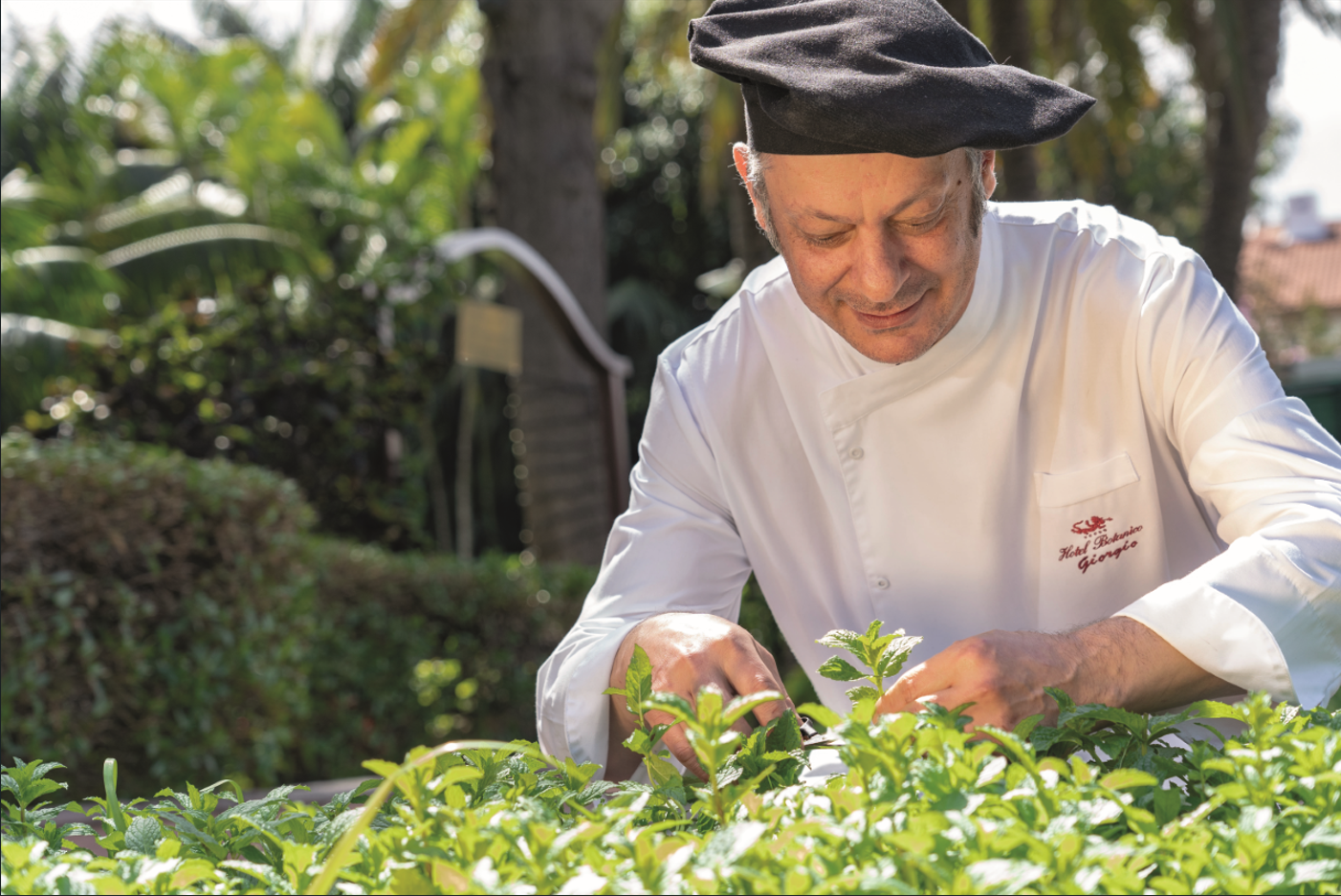 El chef del Hotel Botánico Giorgio recoge hierbas frescas en un jardín soleado.