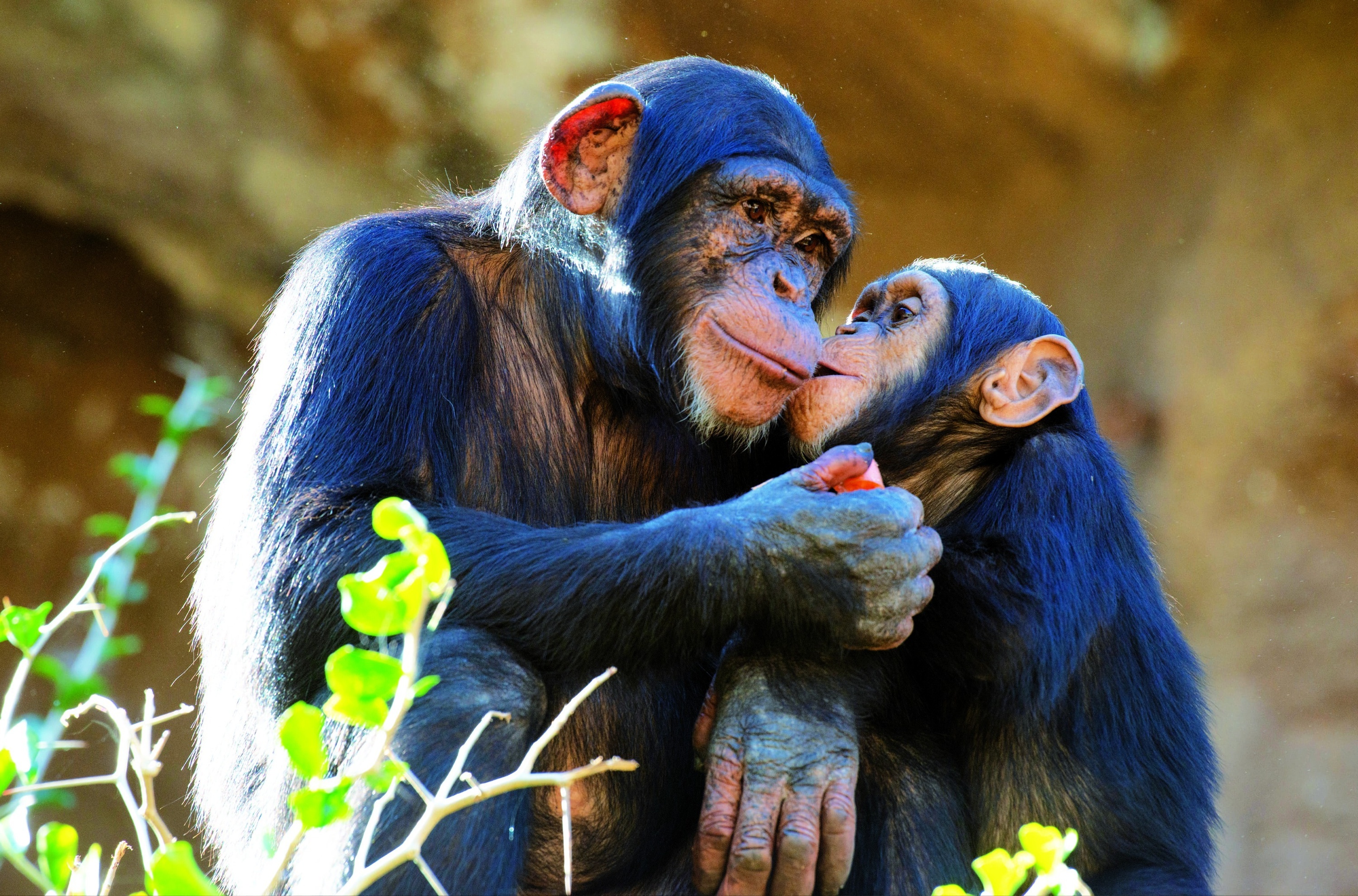 una mujer está sentada en una mesa comiendo pasta y bebiendo vino