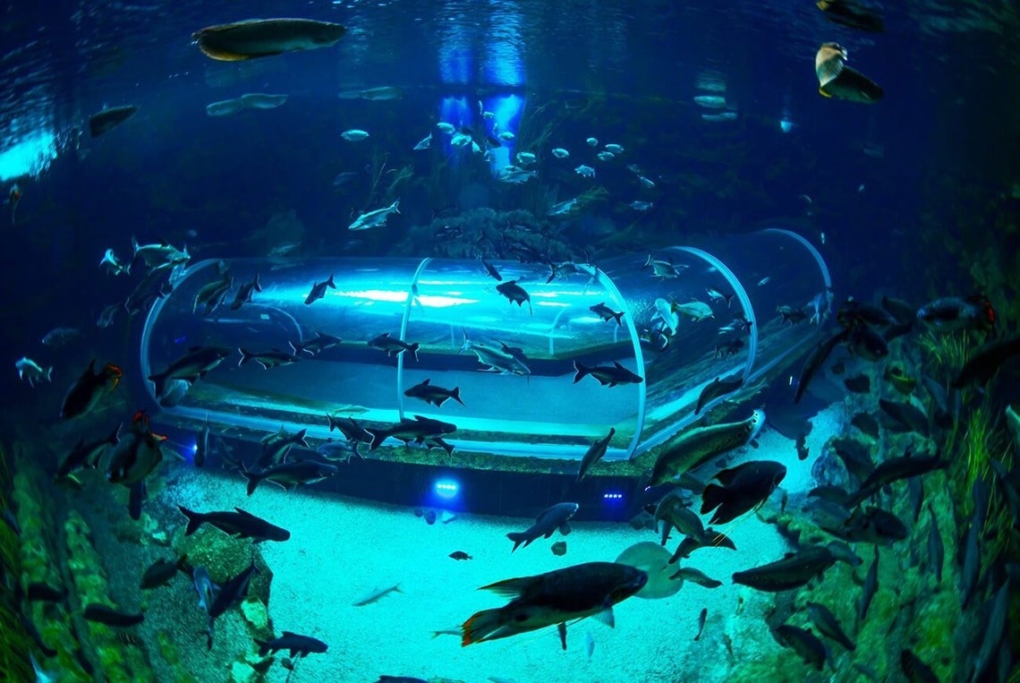 Hotel Botánico & The Oriental Spa Garden 5*GL