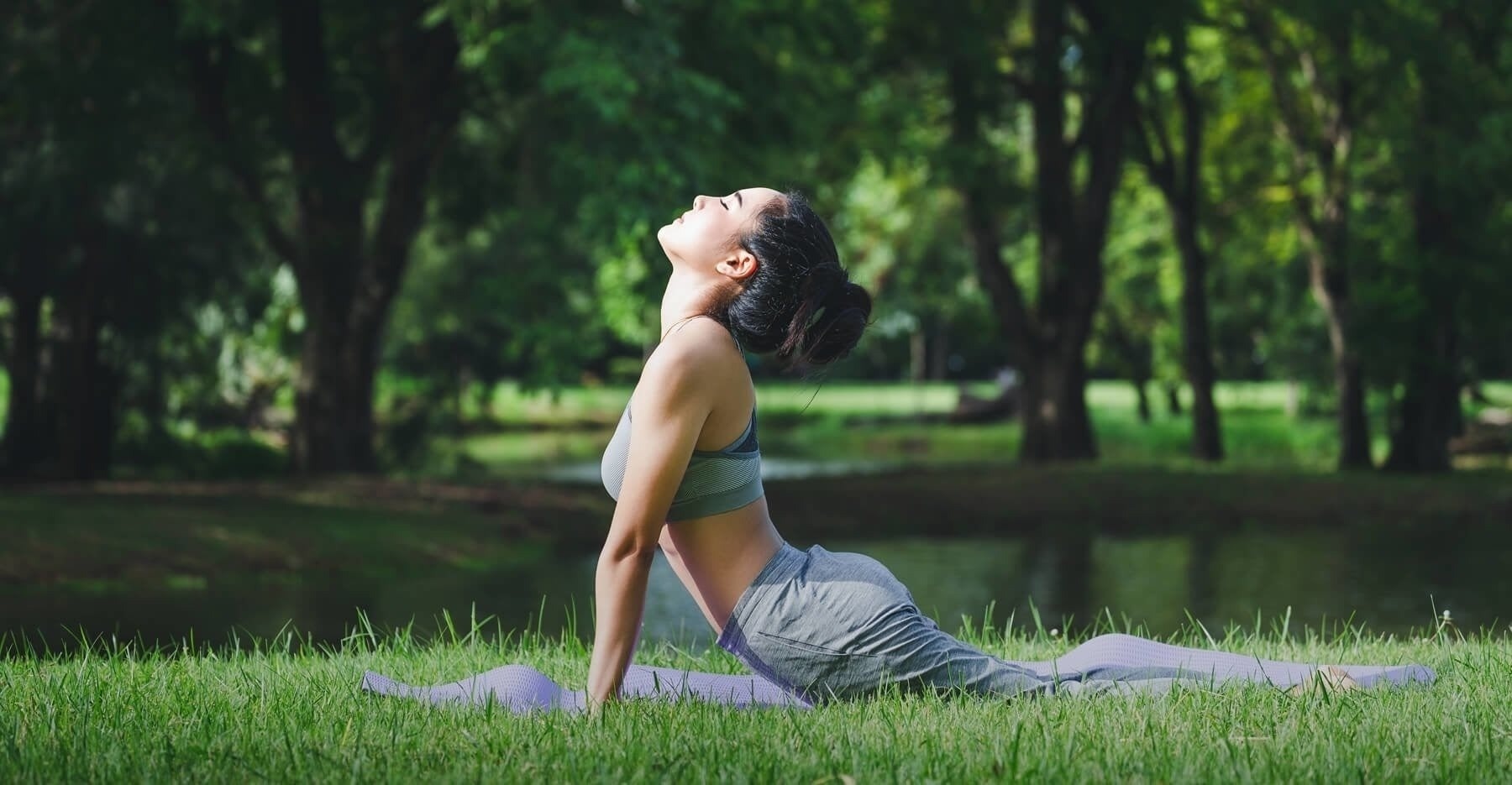 el sol brilla a través de un racimo de uvas