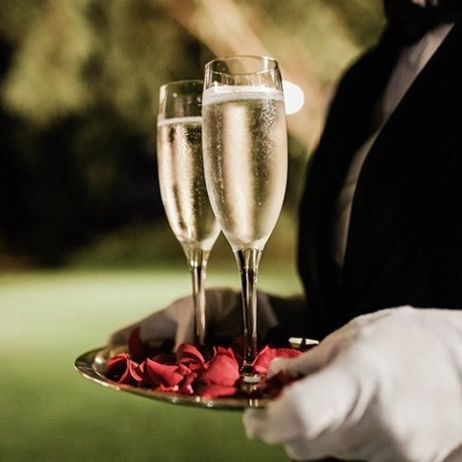 dos camas con dosel están alineadas una al lado de la otra en el césped .