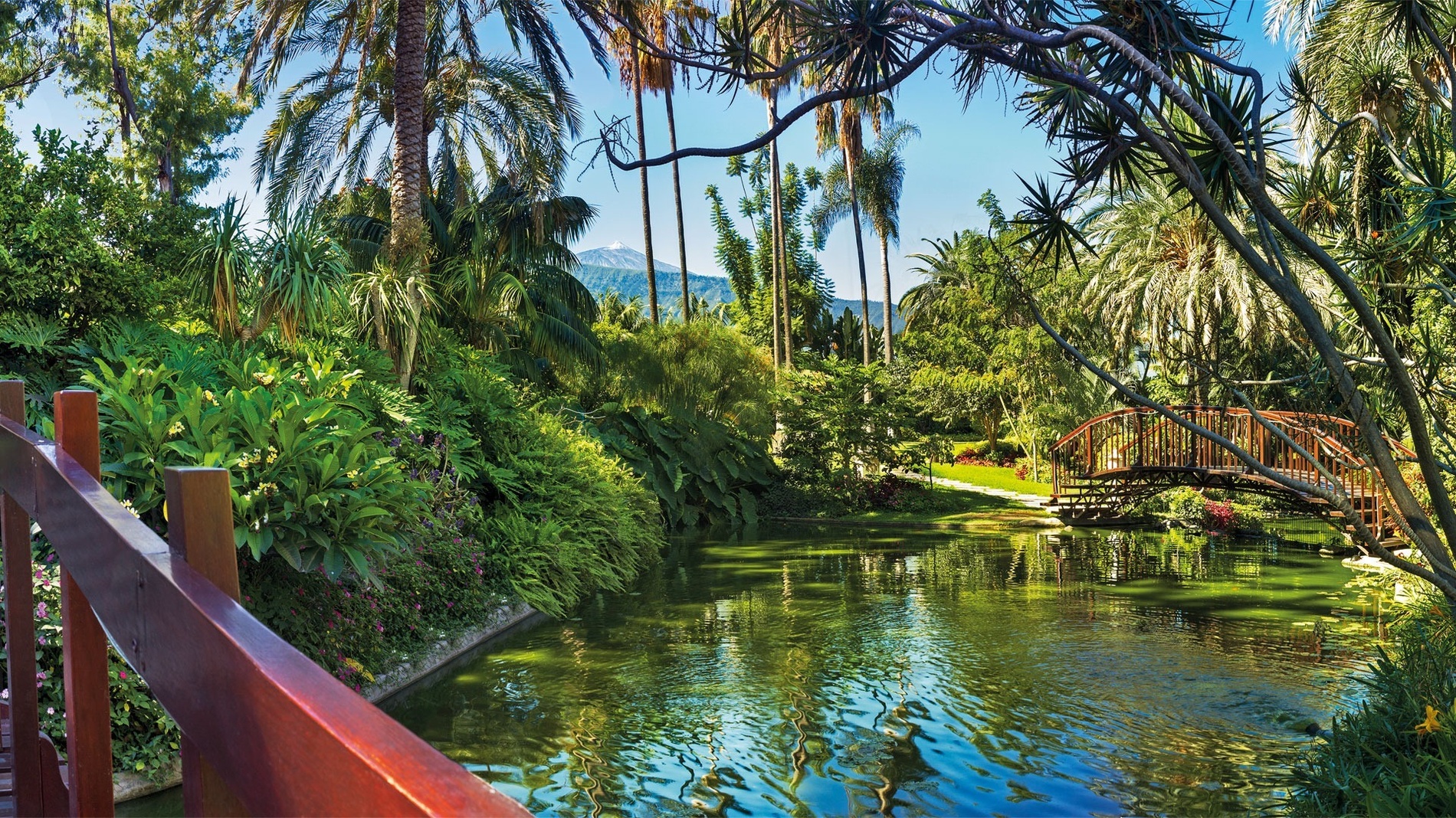 Un couple se tient sur un pont en bois, entouré d'une végétation tropicale luxuriante et de palmiers.