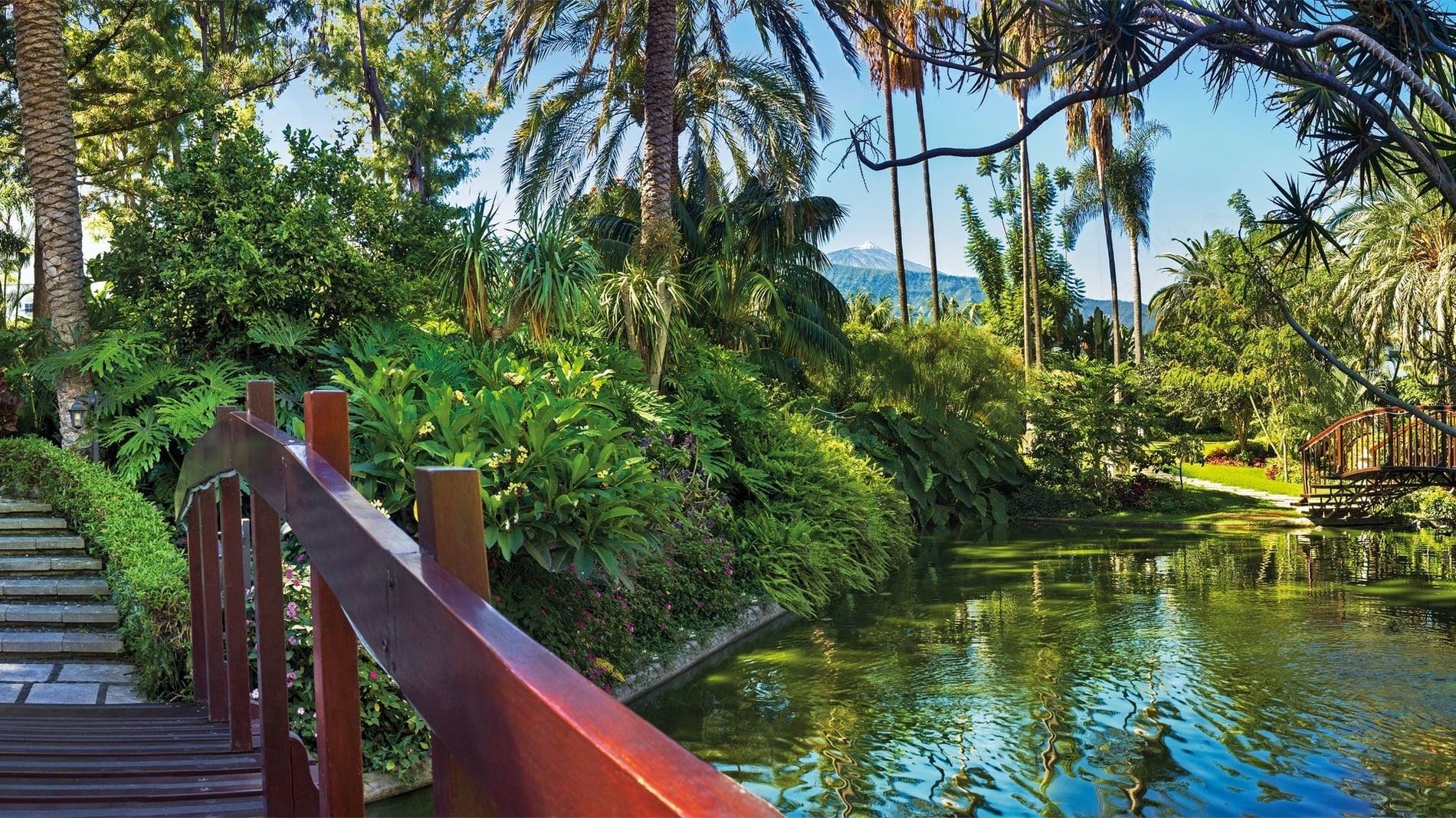 Un exuberante jardín tropical con palmeras y densa vegetación rodea un estanque con dos puentes de madera, y al fondo se divisa una montaña nevada bajo un cielo azul.
