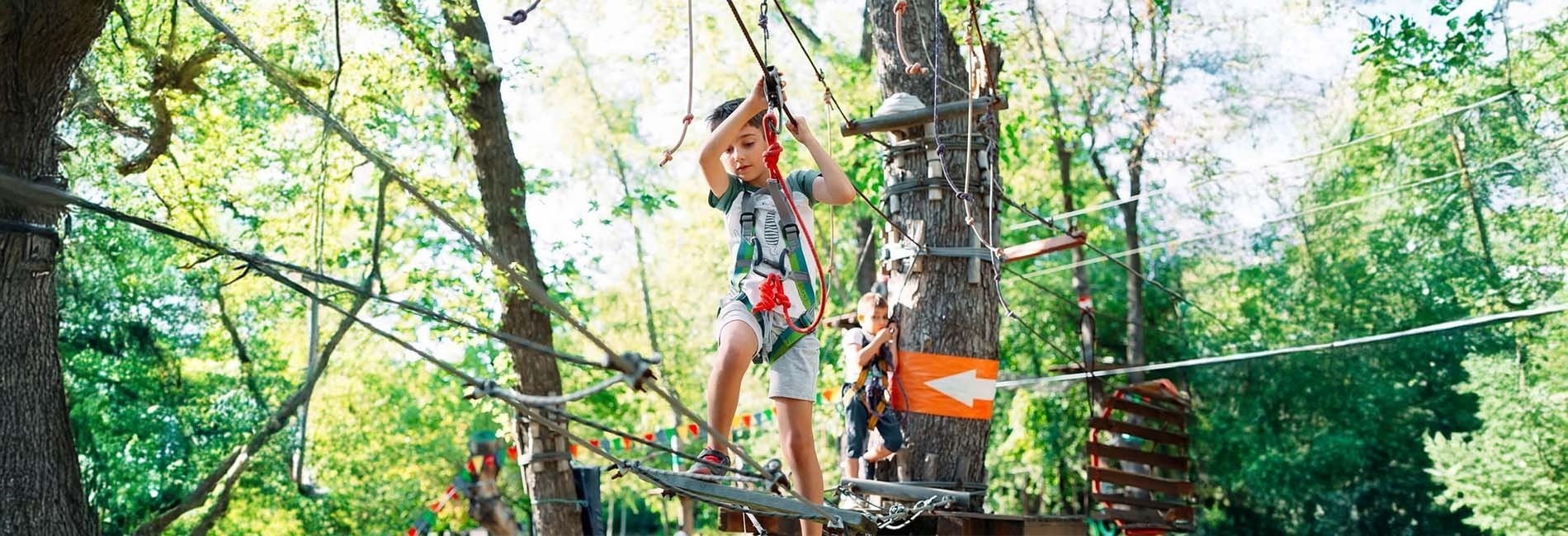 de zon schijnt door een tros druiven