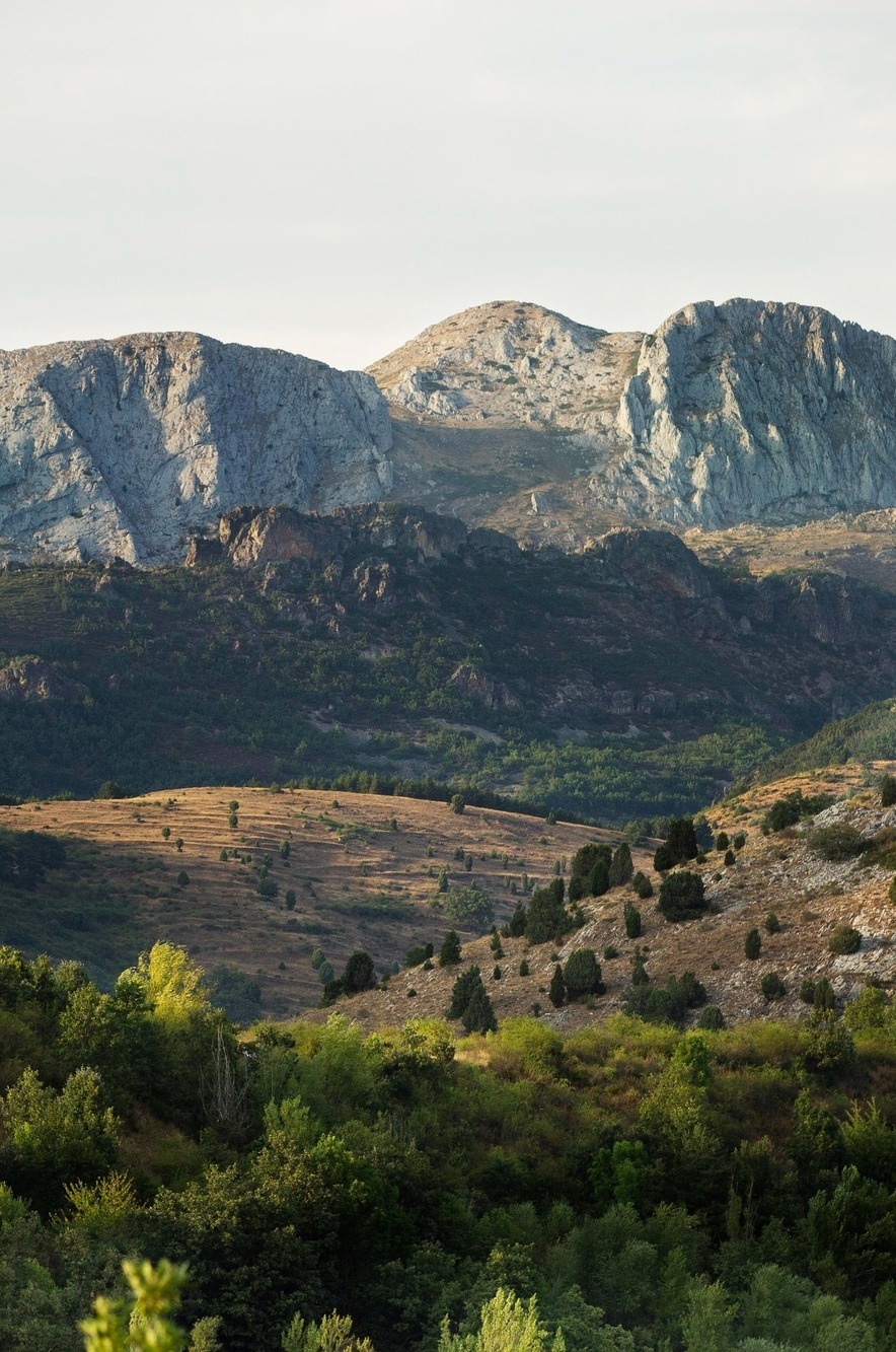 una planta y una silla están en una habitación