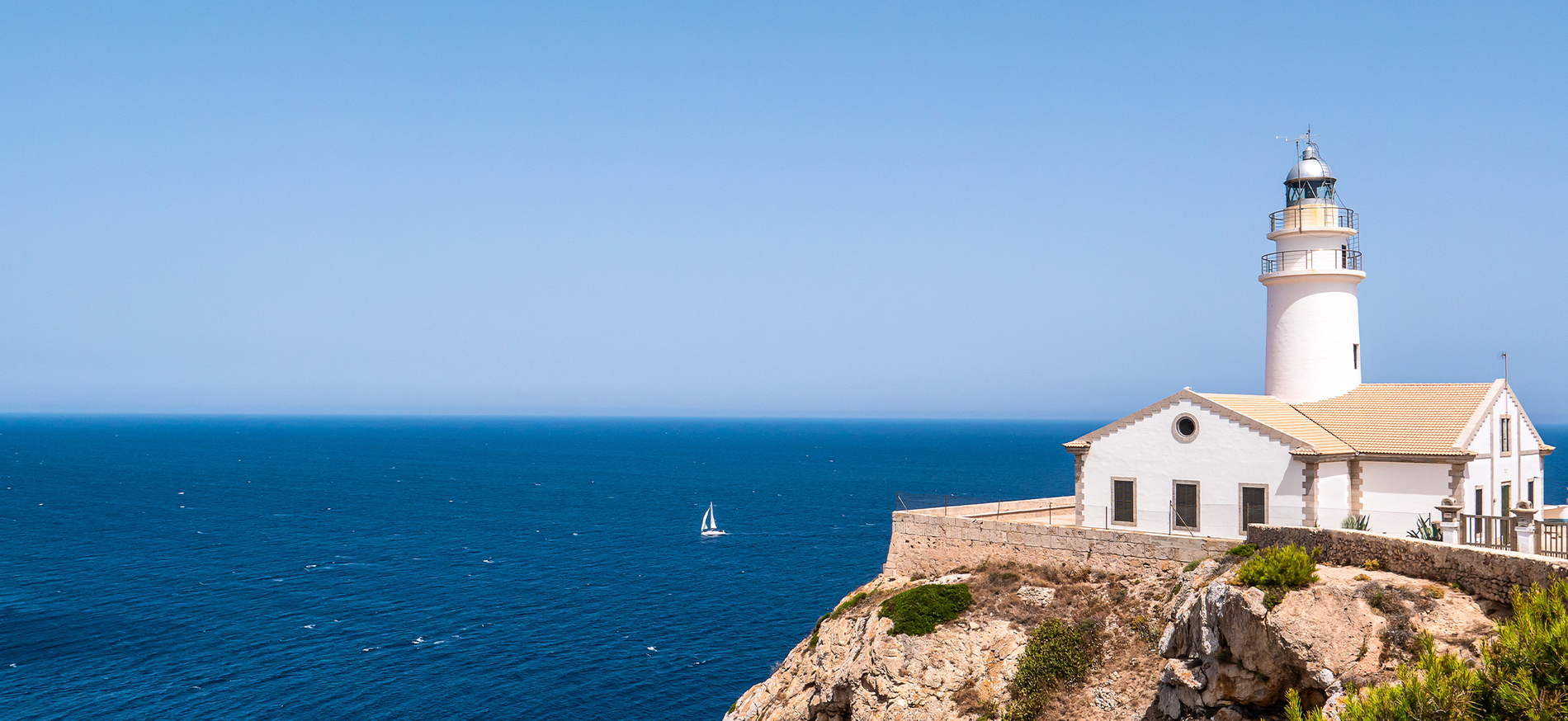 una vista aérea de una playa y el océano
