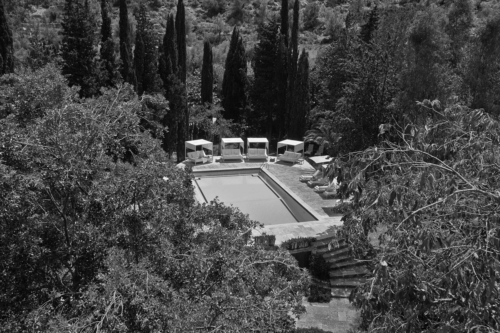 la entrada al hotel olympus palacio está rodeada de palmeras=s1900