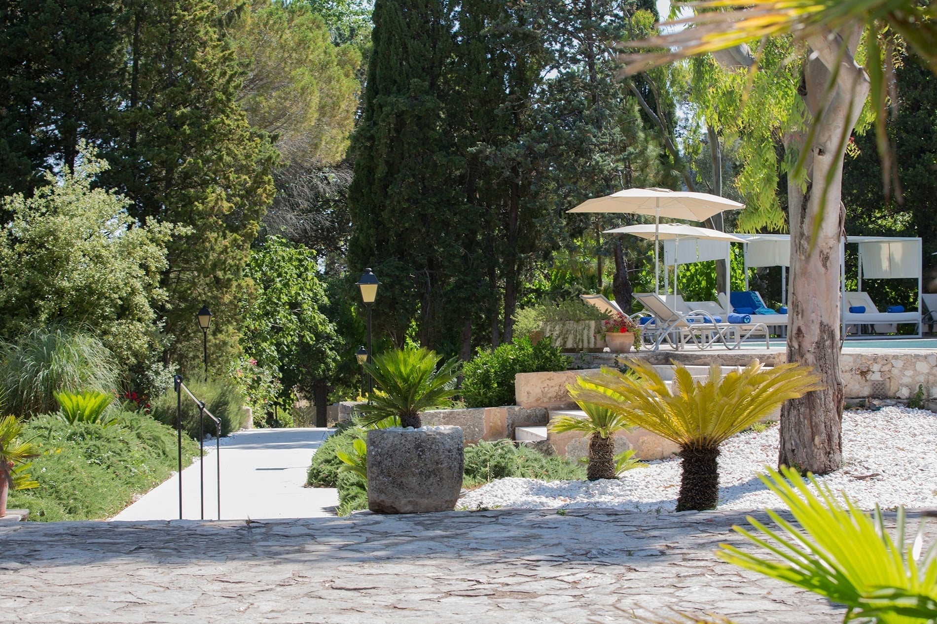 un camino de piedra conduce a una piscina rodeada de palmeras y árboles