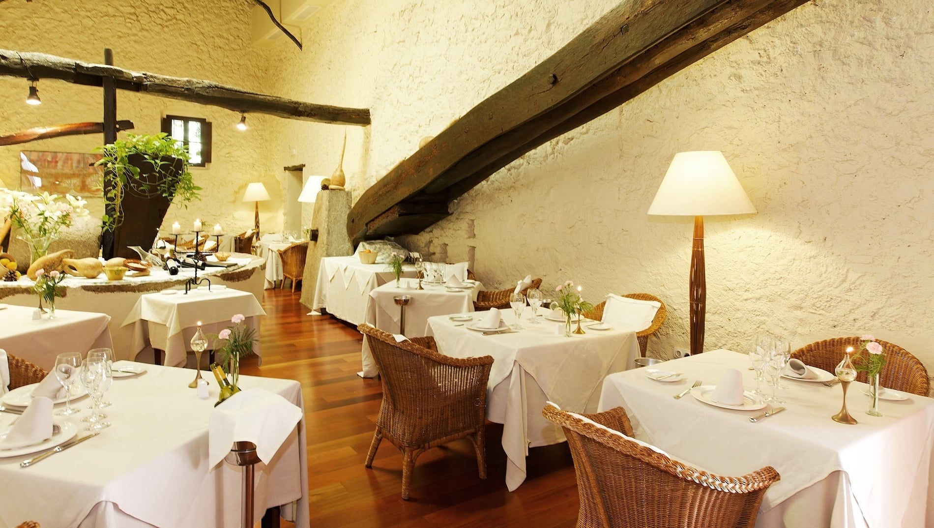 una vista aérea de una playa y el océano