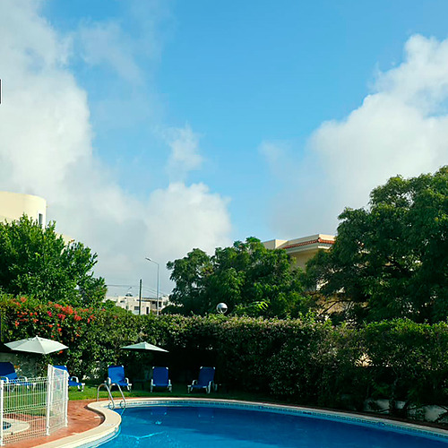Piscina azul cintilante com arte de golfinhos e espreguiçadeiras, perfeita para a sua Hotel Monaco.