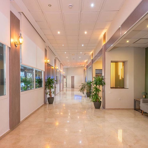 Un luminoso pasillo interior presenta suelos pulidos que reflejan la luz, grandes ventanas con plantas, macetas decorativas y una acogedora área de descanso con una pared verde al fondo.