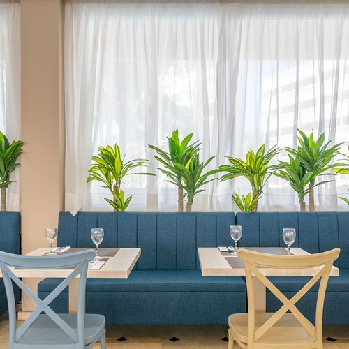 tables and chairs in a restaurant with plants behind them