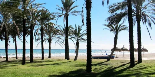 Hotel Puente Real: Palmiers, plage, Torremolinos. Vacances idéales.
