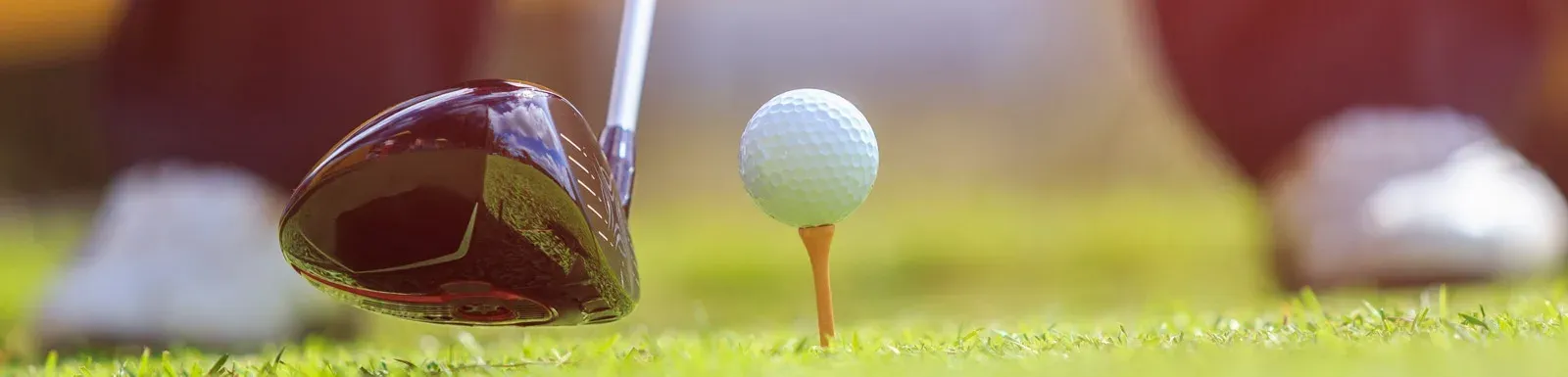 Hotel Puente Real: golfer about to hit ball at Hotel Puente Real, Torremolinos.