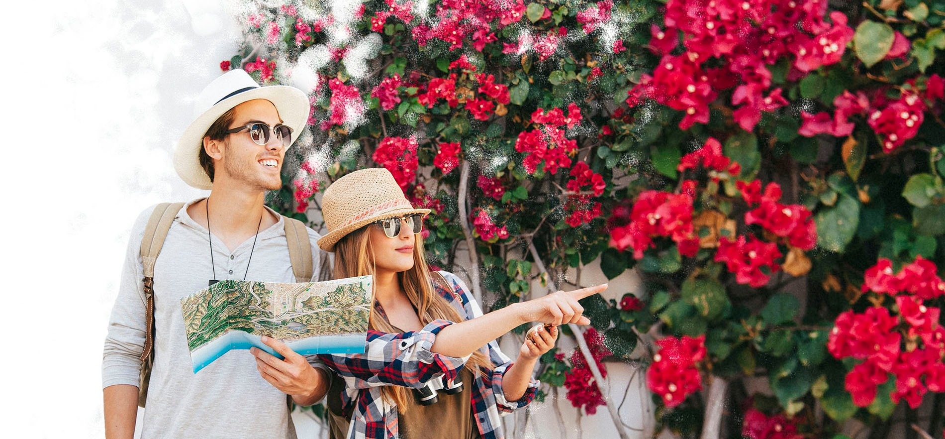 un hombre y una mujer miran un mapa frente a un arbusto de flores rosas