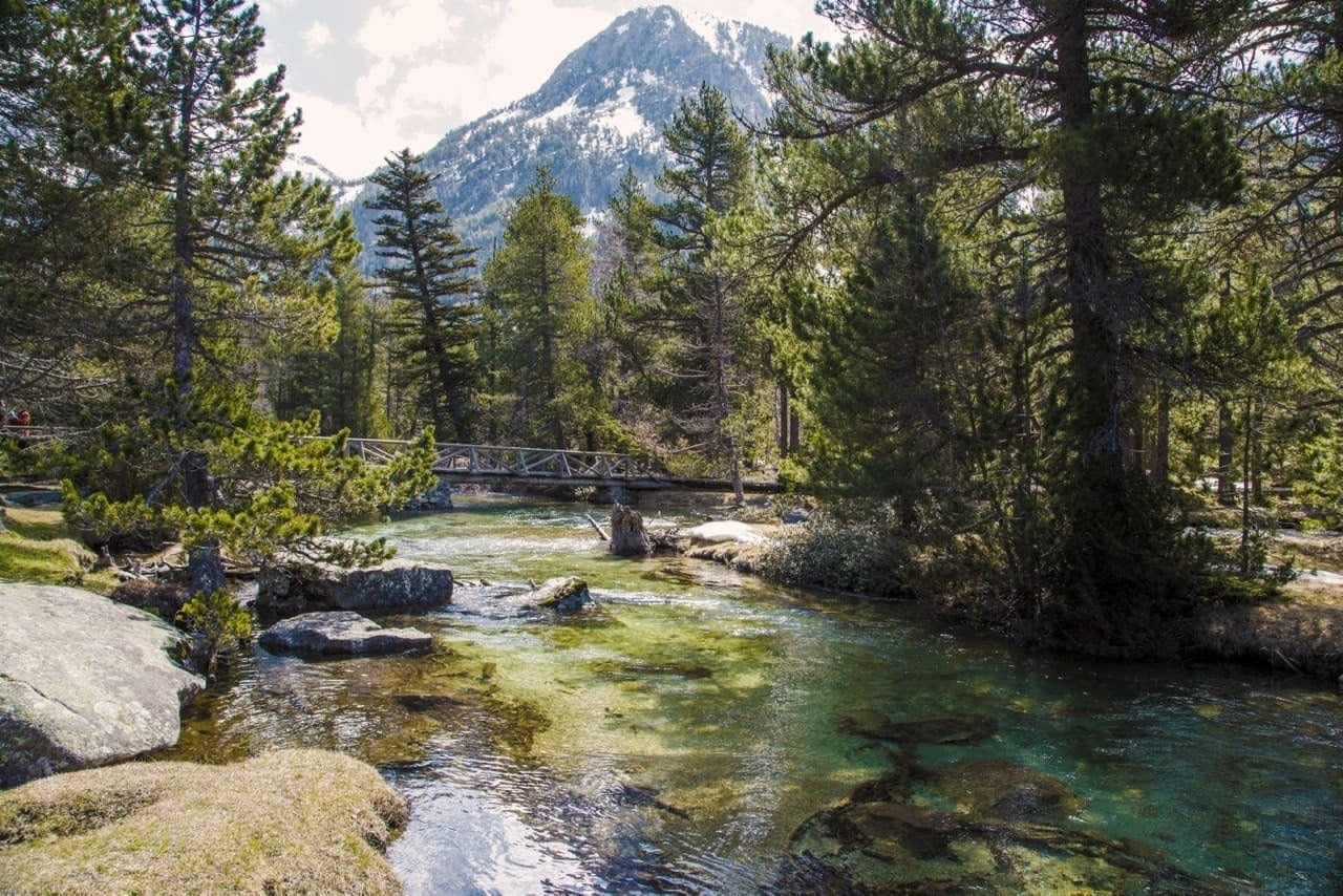 un puente sobre un río en un bosque con una montaña en el fondo