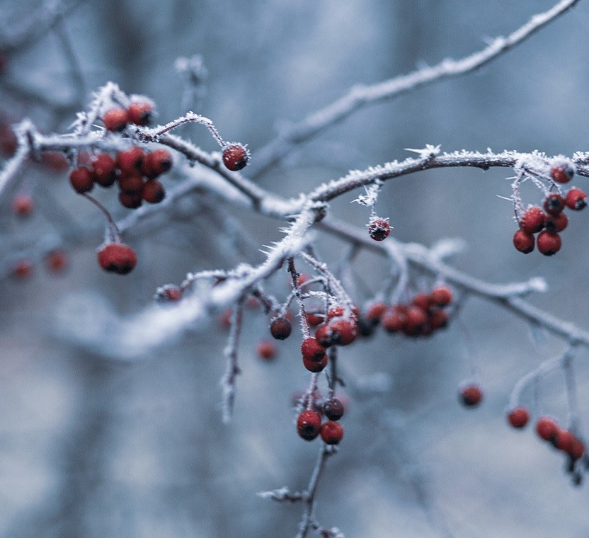 Hotel SNO Candanchú