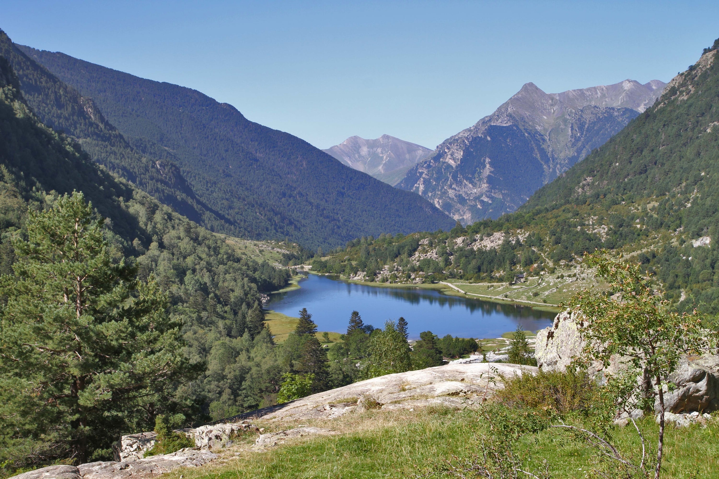 Un lago tranquilo se extiende en un valle montañoso cubierto de densos bosques bajo un cielo azul claro.