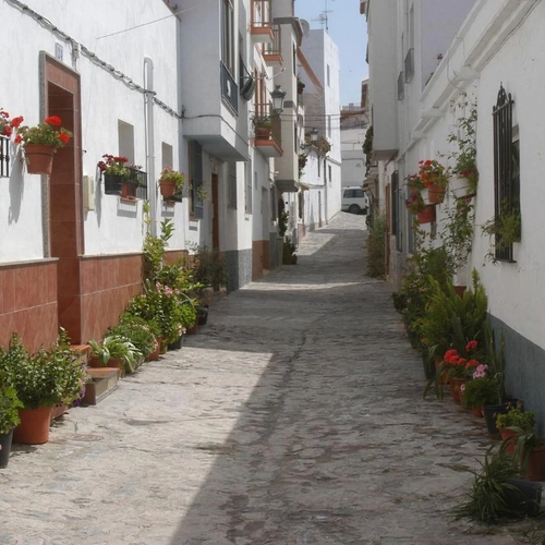 Calle empedrada con casas blancas, plantas en macetas yHotel Victoria Centro