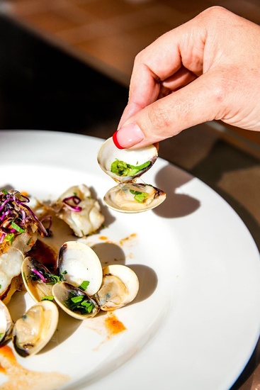 a person holds a clam over a plate of food