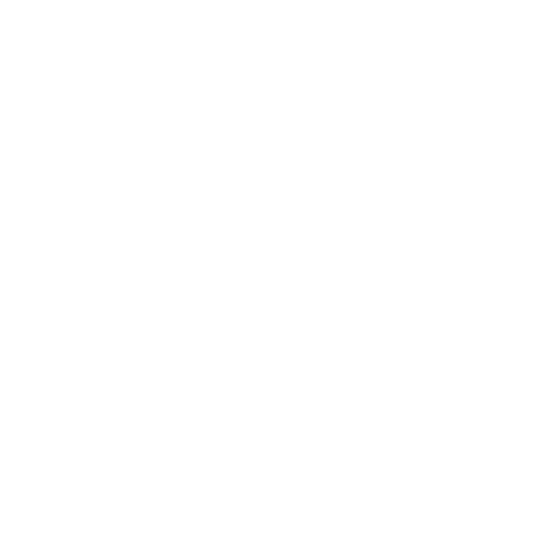 ein weißes Reiselife-Logo auf schwarzem Hintergrund